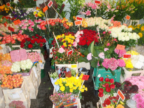 Flower Stall at the destination train station.